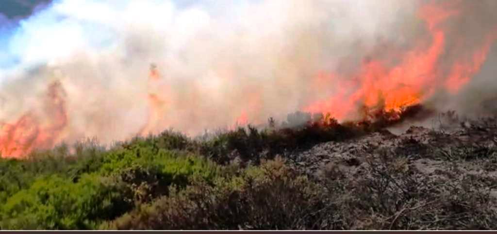 Cantabria vuelve a sufrir los incendios intencionados