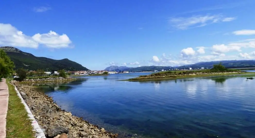 Marismas de Santoña,Victoria y Joyel. R.A.