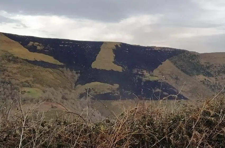 Los operativos extinguieron un incendio en Lamasón.