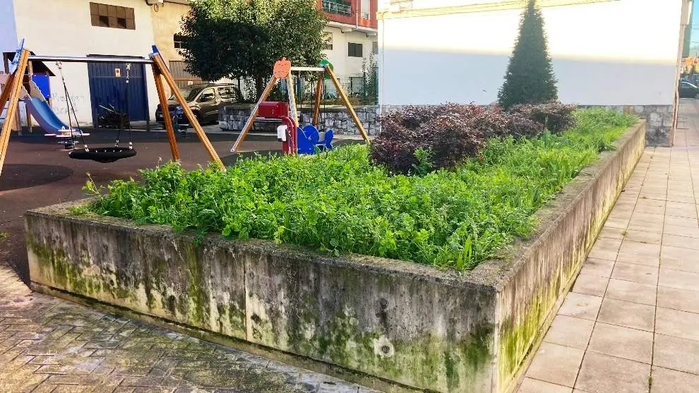 Zona abandonada al otro lado de la vía del tren en Torrelavega.