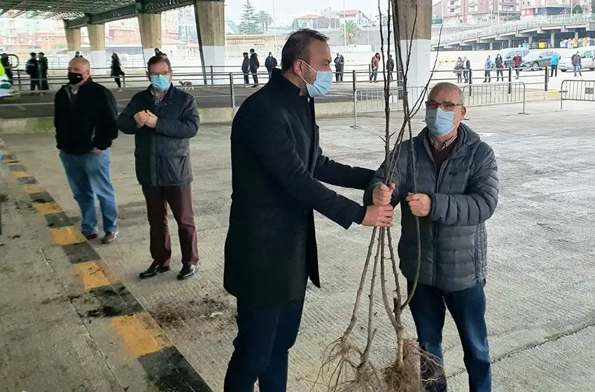 Campaña de entrega de árboles para reforestar en Torrelavega.