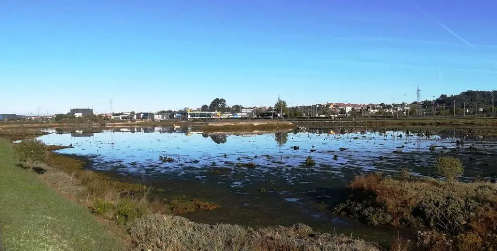 Los talleres tratarán temas medioambientales en El Astillero. R.A.