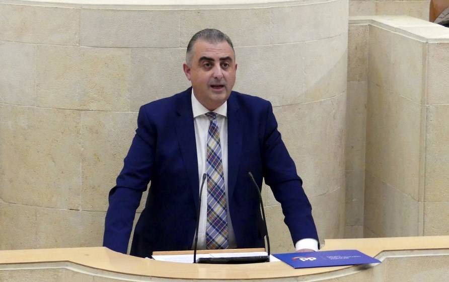 El diputado regional, Roberto Media (PP), en el Parlamento.