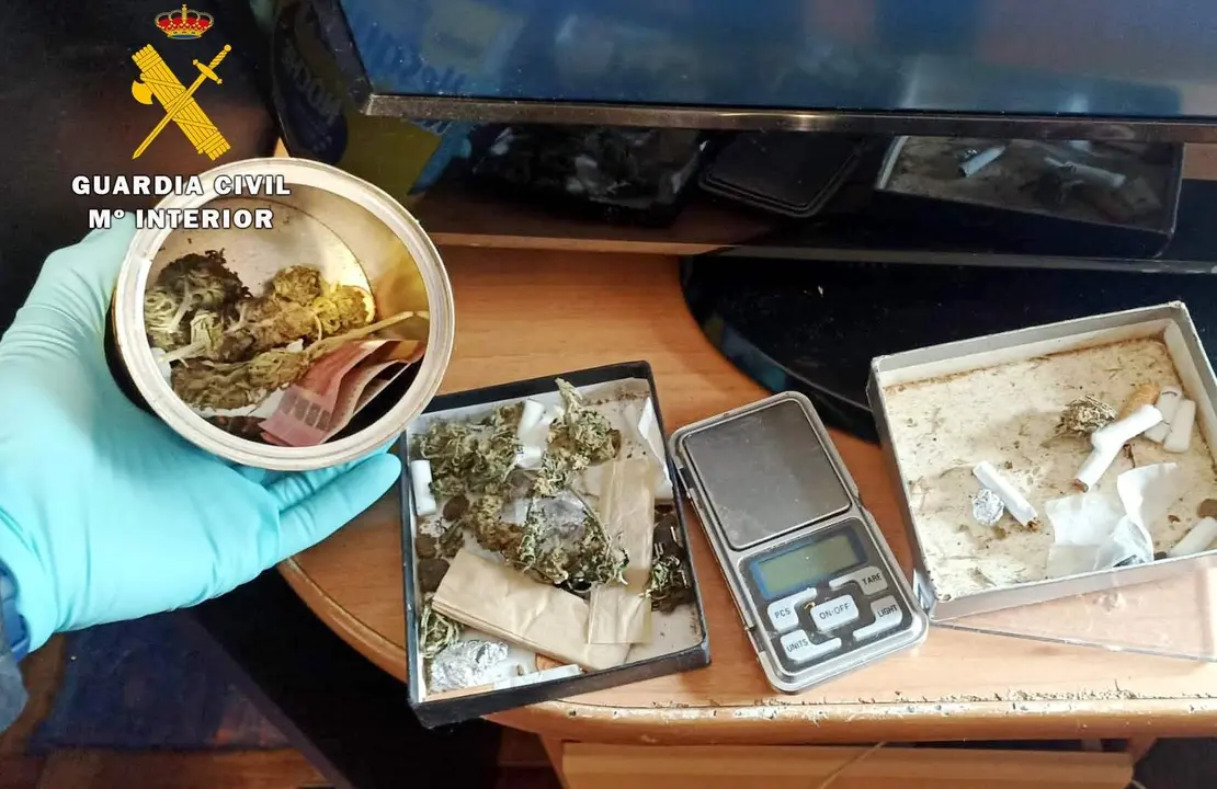 Piscardos encontrados por la Guardia Civil.