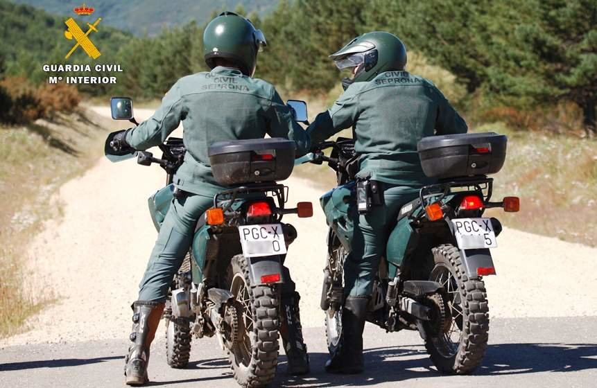 Agentes del Seprona de la Guardia Civil de Cantabria en el monte.