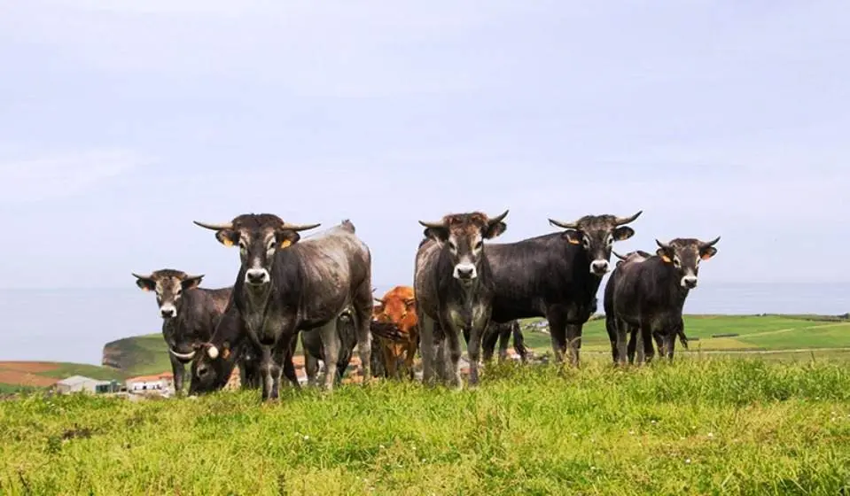 Explotaciones agrarias de Cantabria.