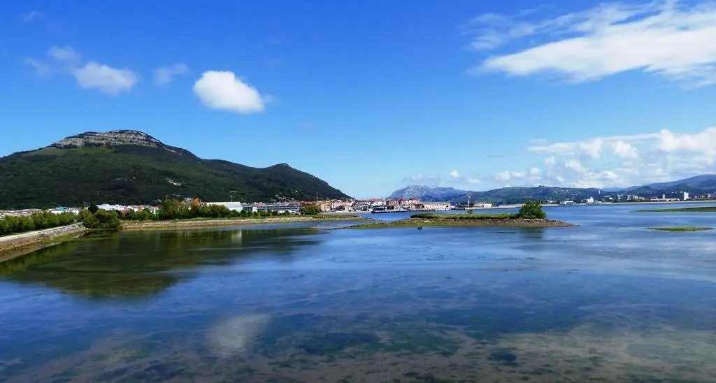 Vista de las Marismas de Santoña, Victoria y Joyel. R.A.