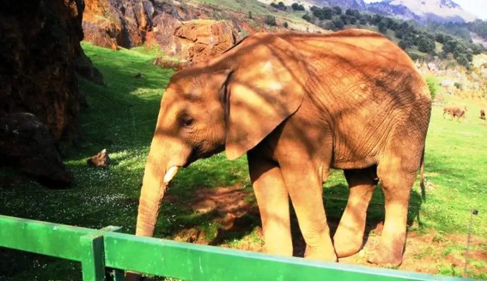 Parque de la Naturaleza de Cabárceno.