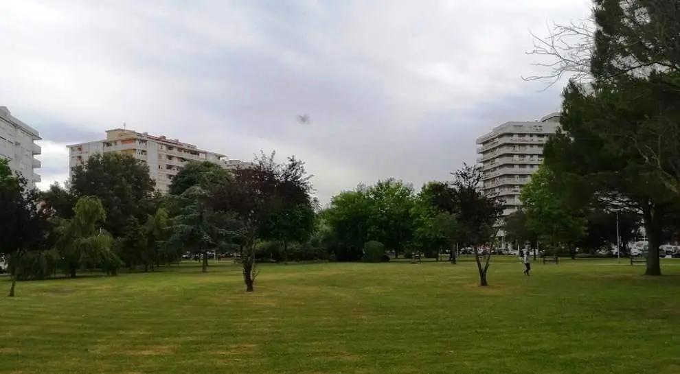 El PP pidió la creación de un espacio canino en una zona verde de Laredo. R.A.