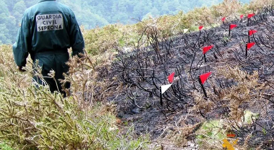 Los agentes de la Guardia Civil investigan los incendios.