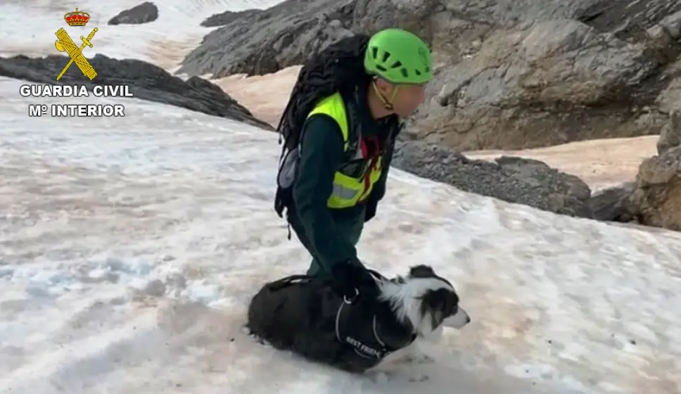 Los agentes rescataron al perro en la zona de Camaleño.