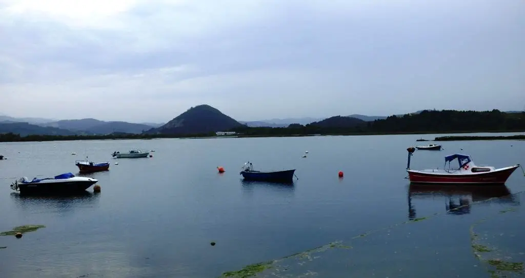 Marismas de Santoña. R.A.