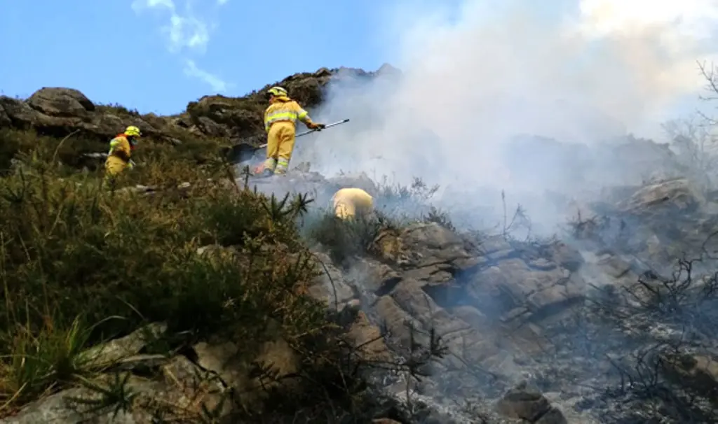 Extinción de incendios forestales provocados.