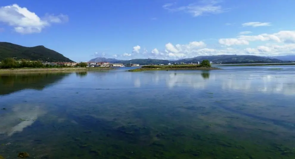 Marismas de Santoña. R.A.