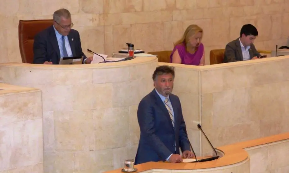 El diputado regional, Cristóbal Palacio, durante su intervención. R.A.