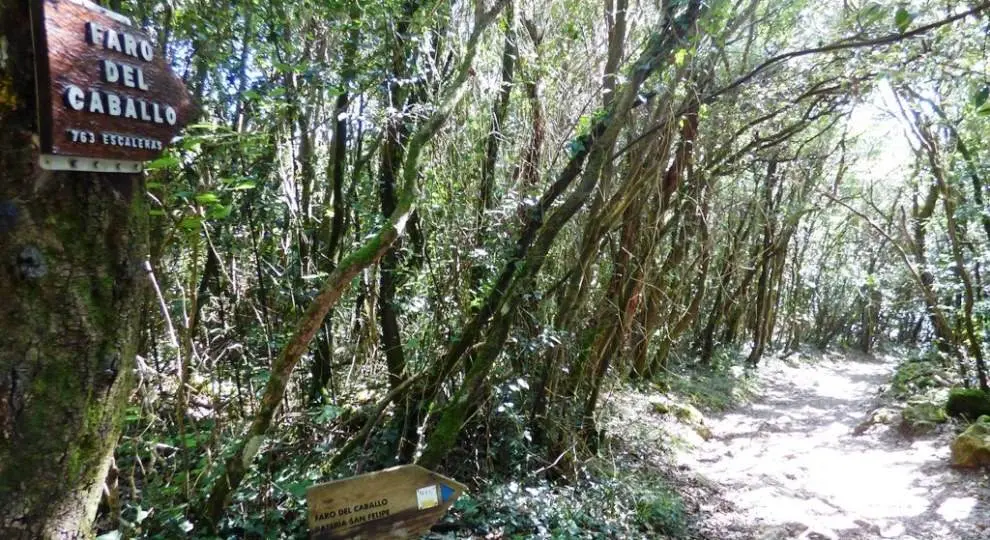 Sendero hacia el Faro del caballo en el Monte Buciero. R.A.