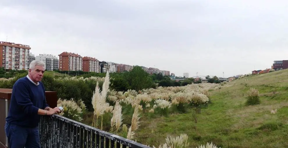 El portavoz del PRC en Santander, José María Fuentes-Pila junto a una zona de plumeros.