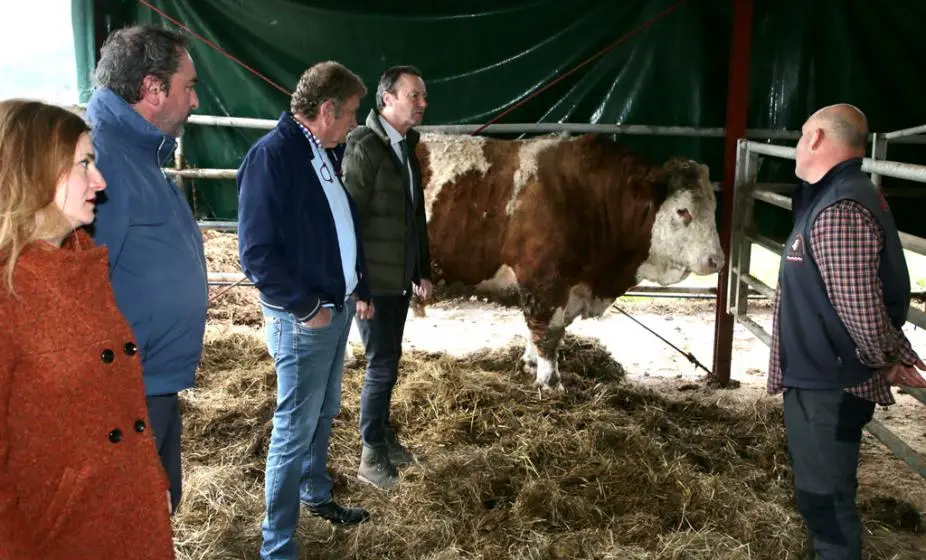 Visita a la ganadería en Penagos.