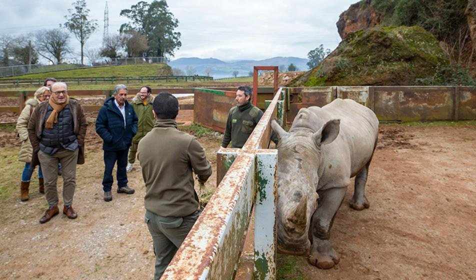 Nuevo rinoceronte blanco en Cabárceno.