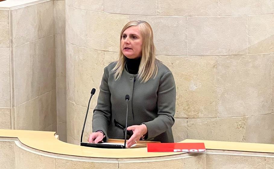 La diputada regional, Noelia Cobo, en el Parlamento.