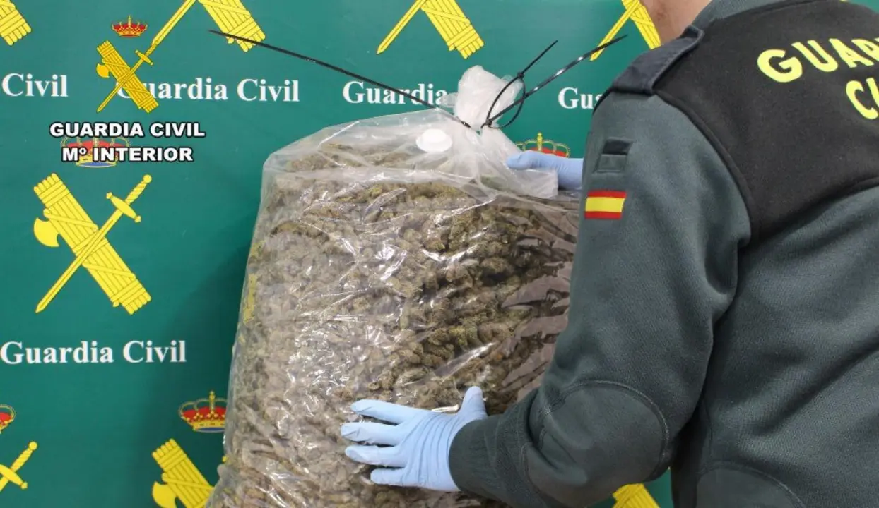 Marihuana intervenida por la Guardia Civil.