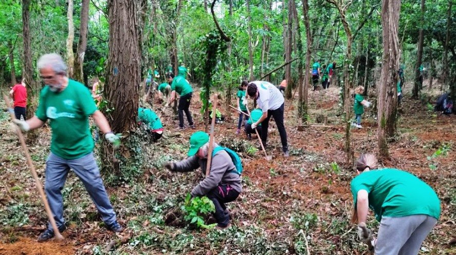 El Ayuntamiento busca voluntarios para la plantación en Morero.