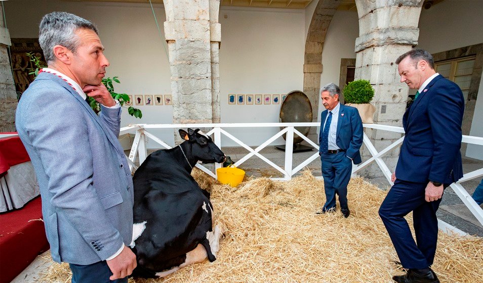 Las autoridades políticas junto a la vaca y el ganadero homenajeado.