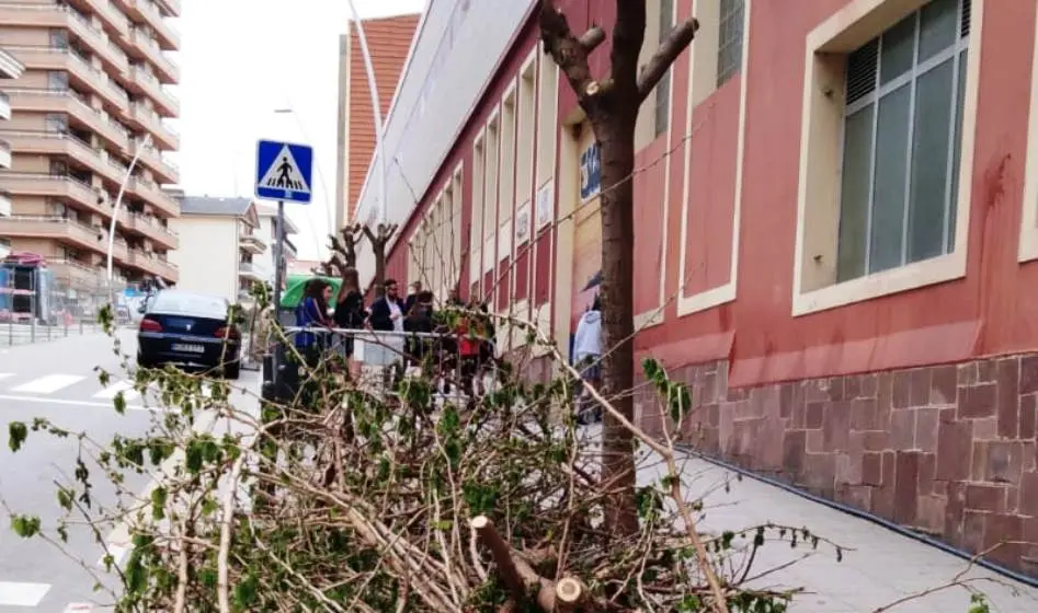 Zona donde se ha llevado a cabo el arboricidio en Santander.