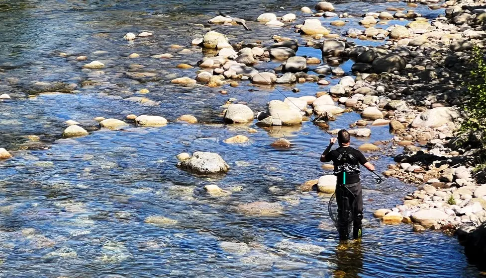 Un pescador intentando capturar el campanu.