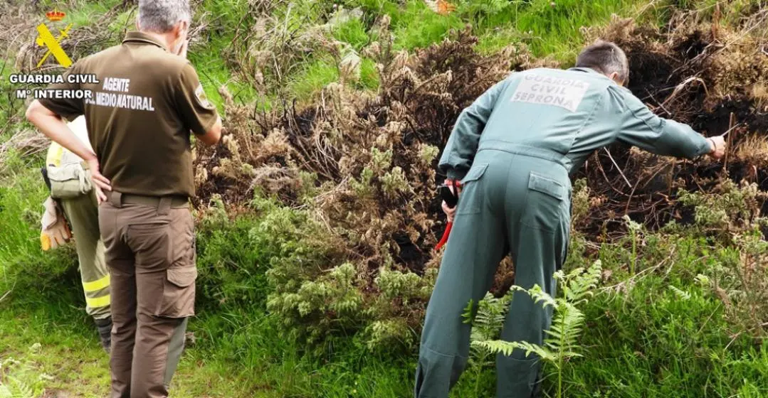 Detenidas dos personas como presuntos autores de los incendios en Cantabria.