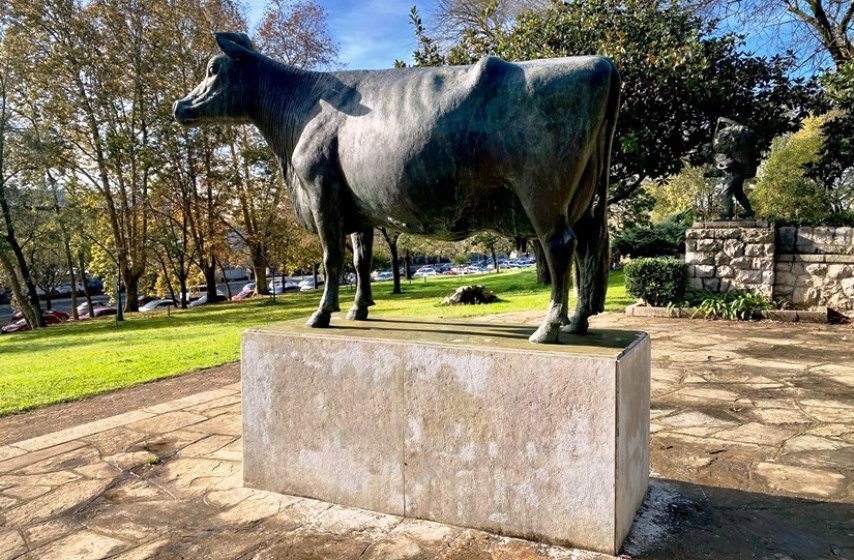 Vaca de Doctor Morales en Santander.