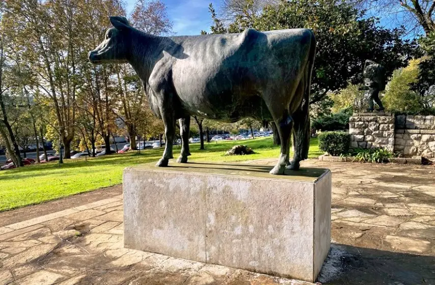 Vaca de Doctor Morales en Santander.