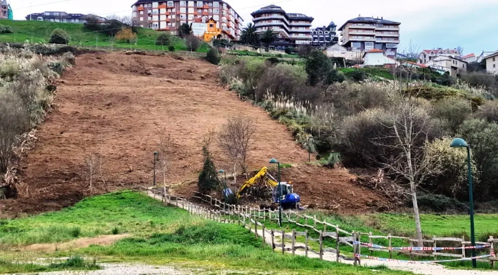 Ladera de la Senda del Monte en la que el Ayuntamiento de Suances está realizando los trabajos