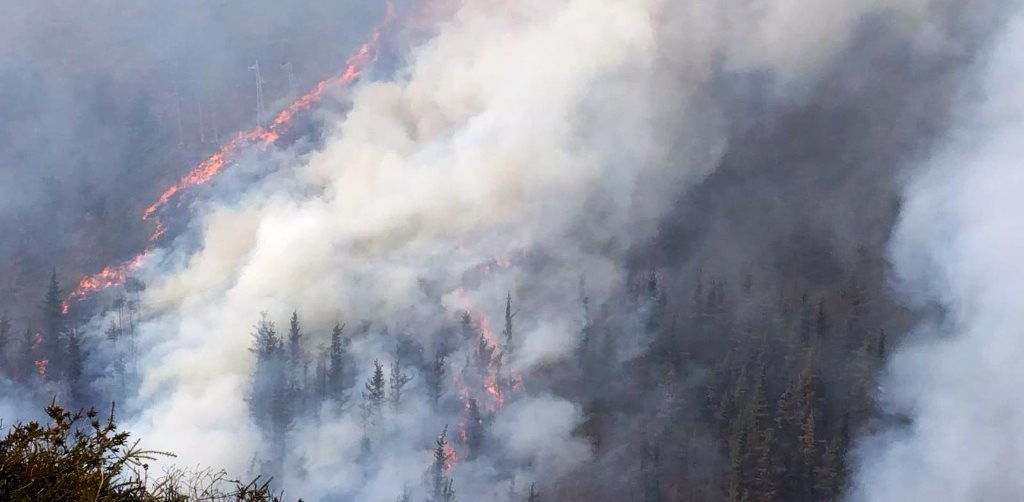 06/04/2024 Incendio forestal en Cantabria.

En estos momentos, Cantabria registra 19 incendios forestales, de los que 17 estÃ¡n activos y dos controlados, mientras que uno de ellos ha afectado al camping de SopeÃ±a (CabuÃ©rniga) y ha quemado una zona de almacenaje, varios vehÃ­culos y diversos materiales.

ESPAÃ‘A EUROPA CANTABRIA SALUD SOCIEDAD
112