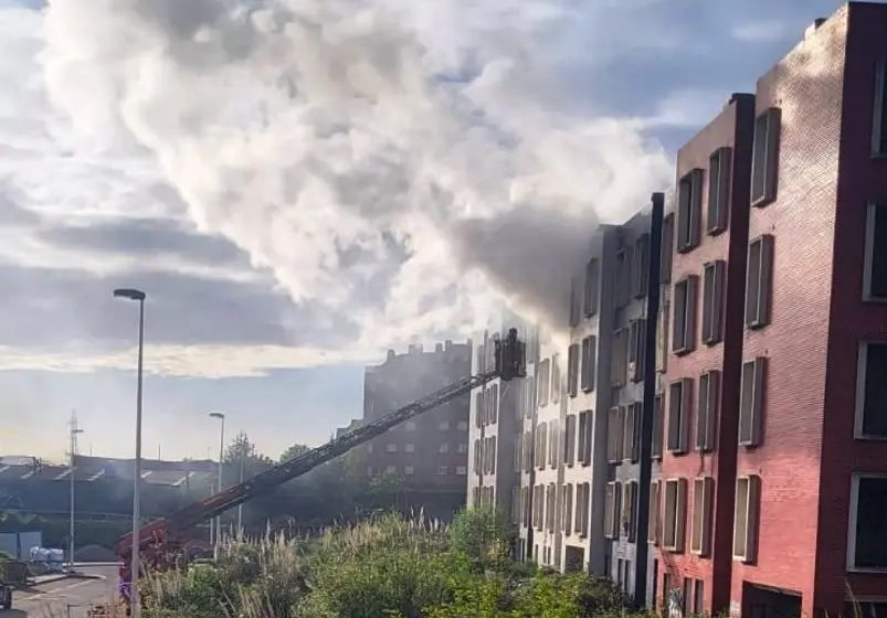 Rescatadas dos personas tras el incendio de basura en el hueco del ascensor de un edificio abandonado.
Los bomberos de Santander ha rescatado este miércoles a dos personas atrapadas a consecuencia de un incendio de basura en el hueco del ascensor de un edificio abandonado de varios pisos situado en la zona de Peñacastillo.
SOCIEDAD
X BOMBEROS DE SANTANDER