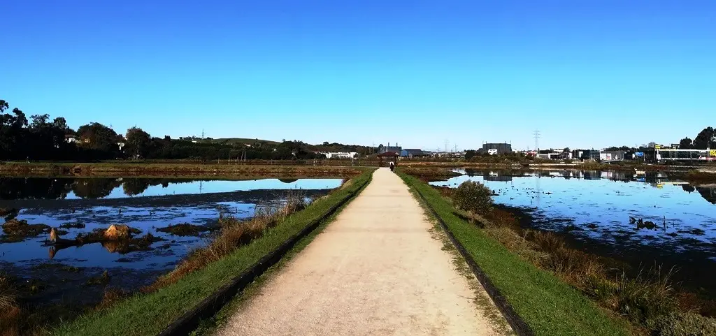 Zona de las Marismas en El Astillero. R.A.