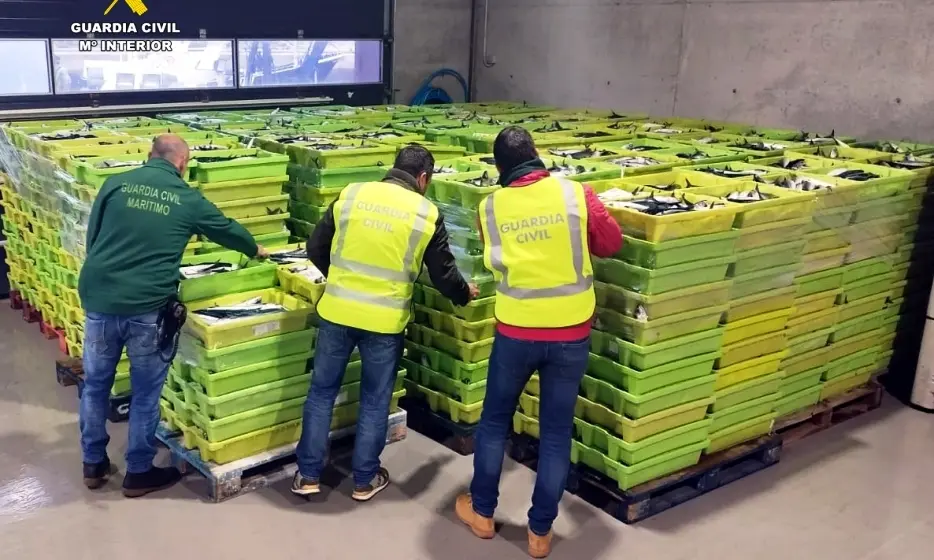 Cajas de caballa interceptada en Laredo.