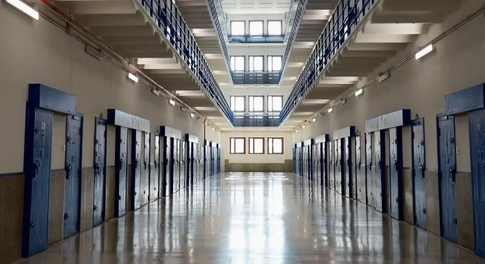 Celdas en los módulos.