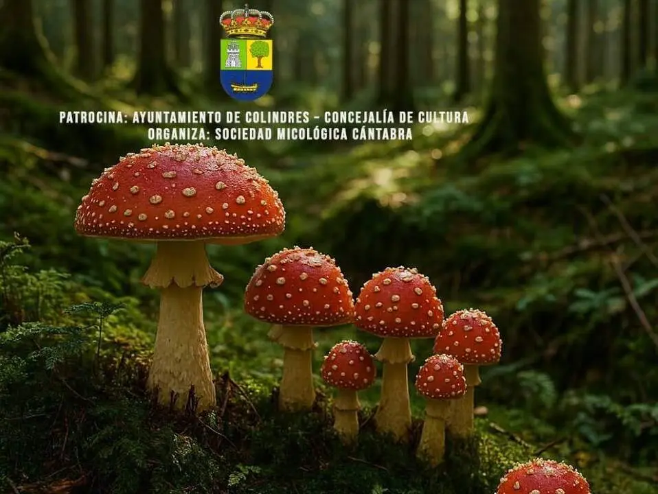 Jornadas Micológicas en Colindres.