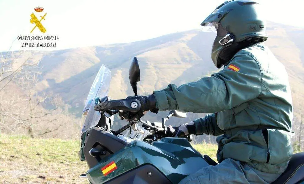 Agentes del Seprona.