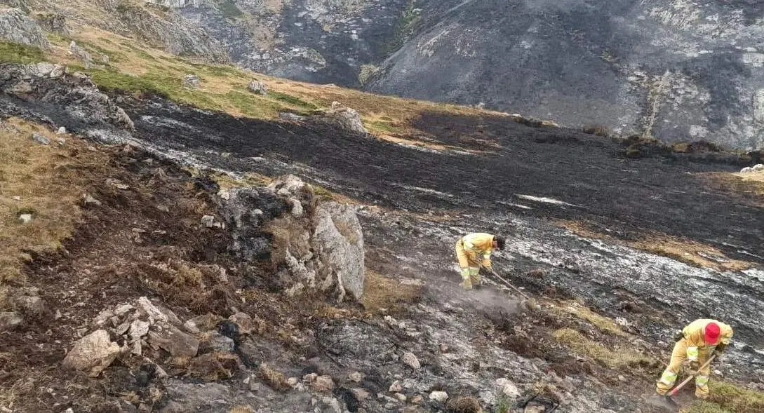 Bomberos forestales en el monte.