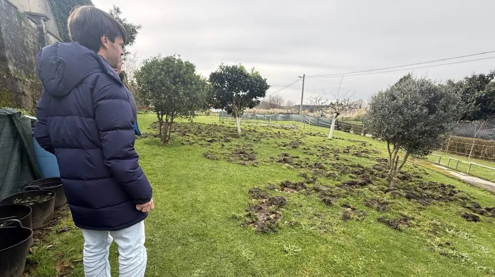 Estado de un terreno por el paso de los jabal&iacute;es.