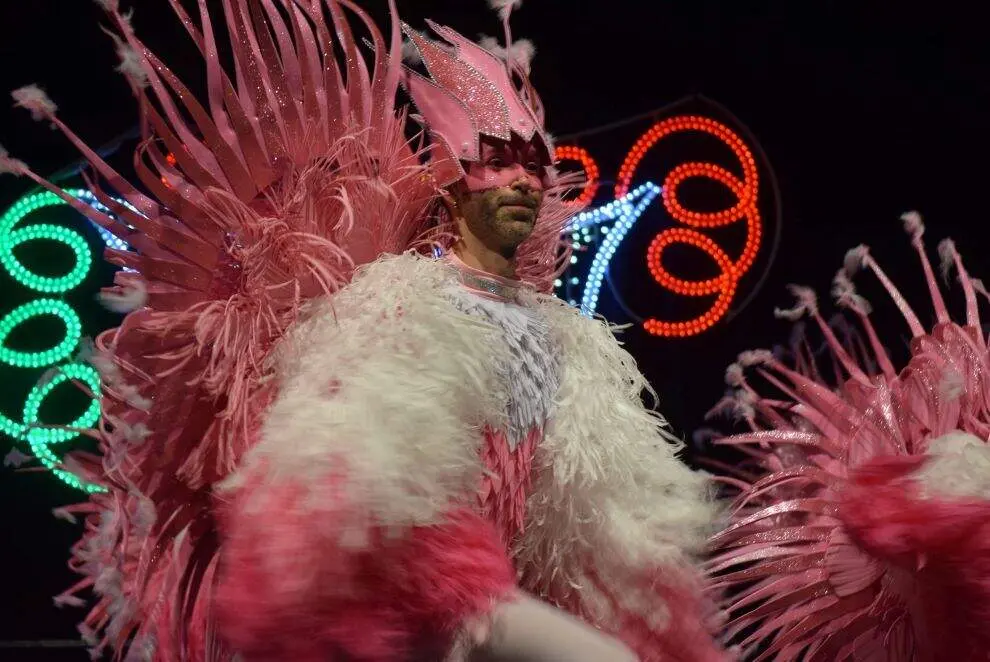 Miembro de 'Fusi&oacute;n flamenca'.