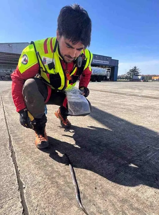 Los senderistas mataron a la v&iacute;bora.
