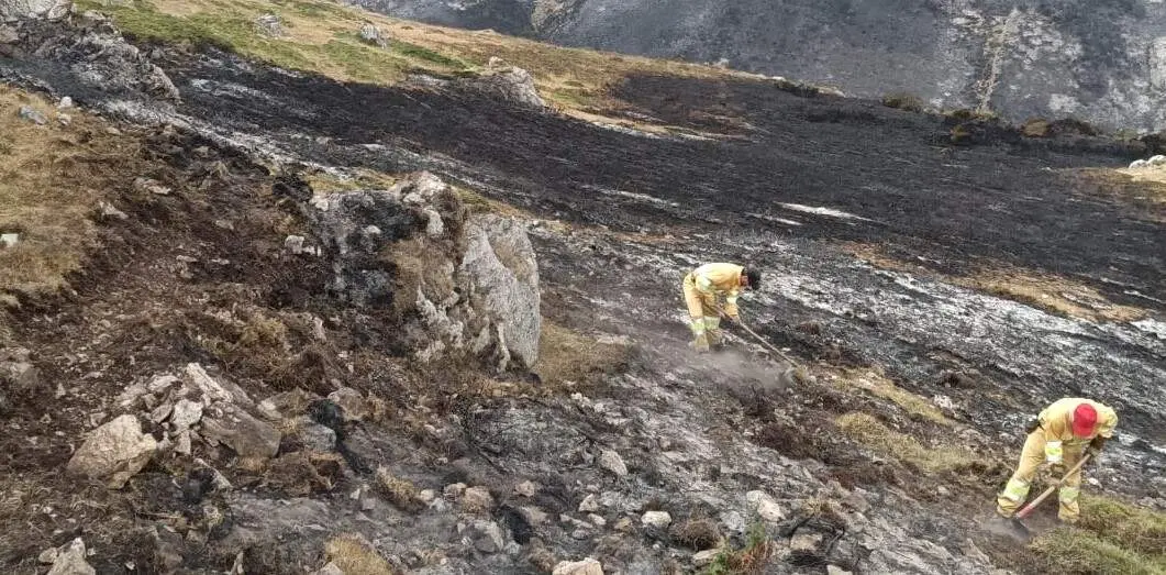 Uno de los recientes incendios forestales.