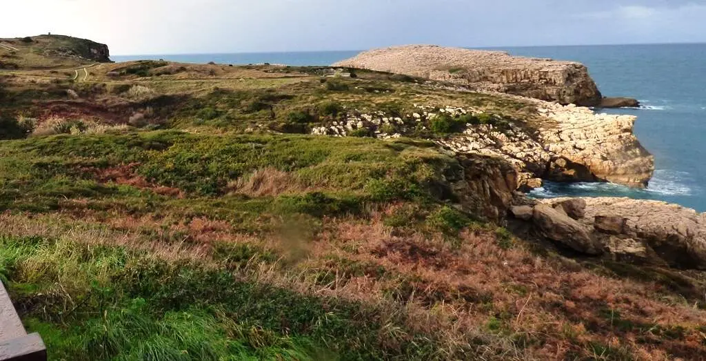 Zona de acantilados de Suances. R.A.