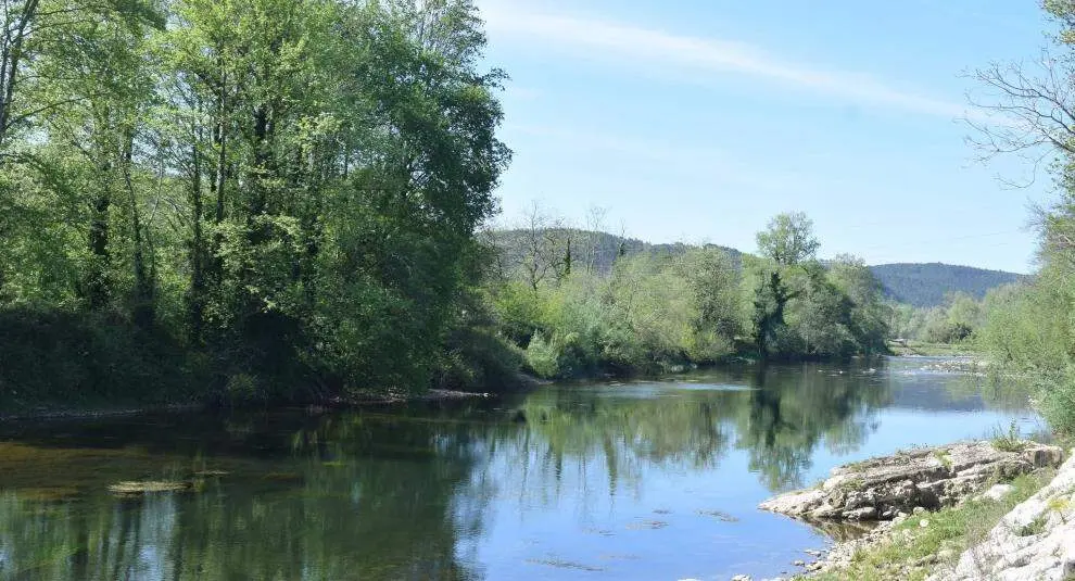 El r&iacute;o Pas a su paso por Pi&eacute;lagos.