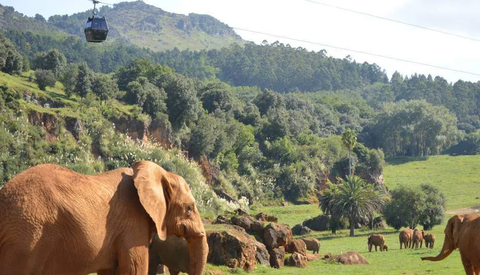 Parque de la Naturaleza de Cab&aacute;rceno, dependiente de Cantur.