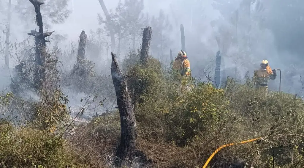 Incendio en los pinares de Liencres.