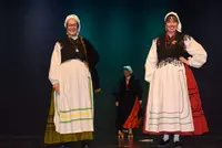 Participaron cinco escuelas.